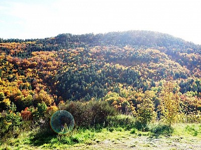 Automne_allenc (18)